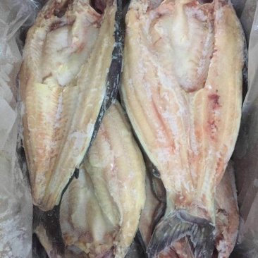 开背巴沙鱼