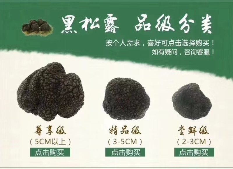 品质保证！新鲜完美！