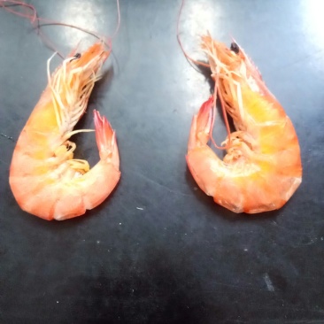 干虾