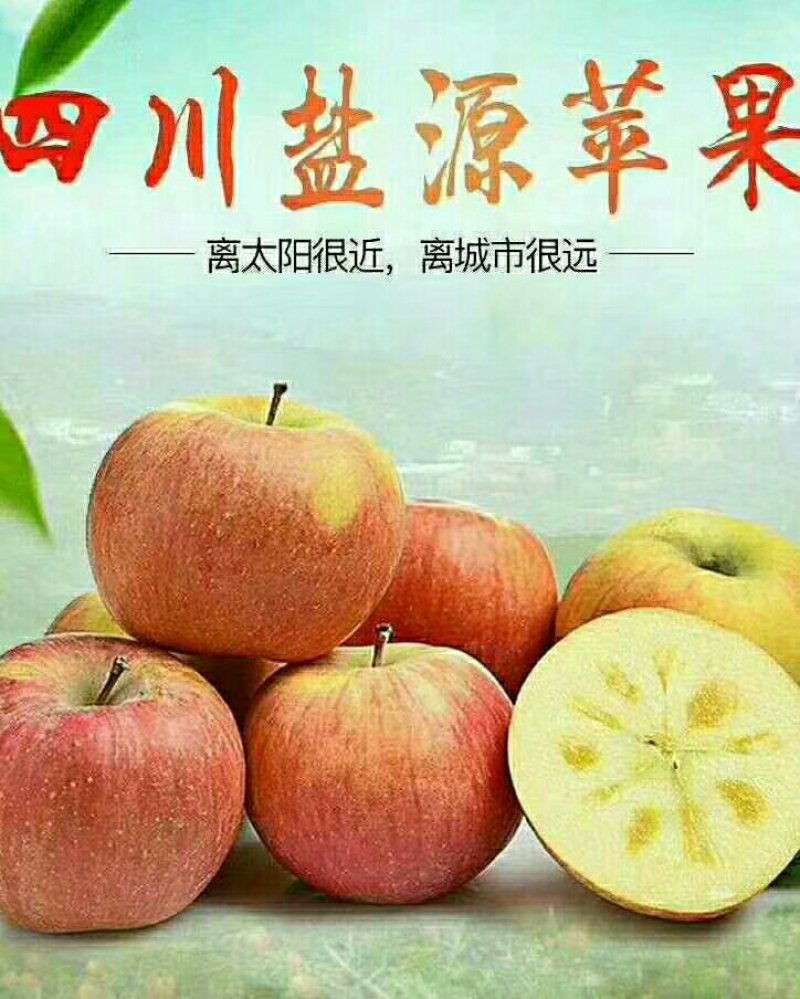四川盐源苹果