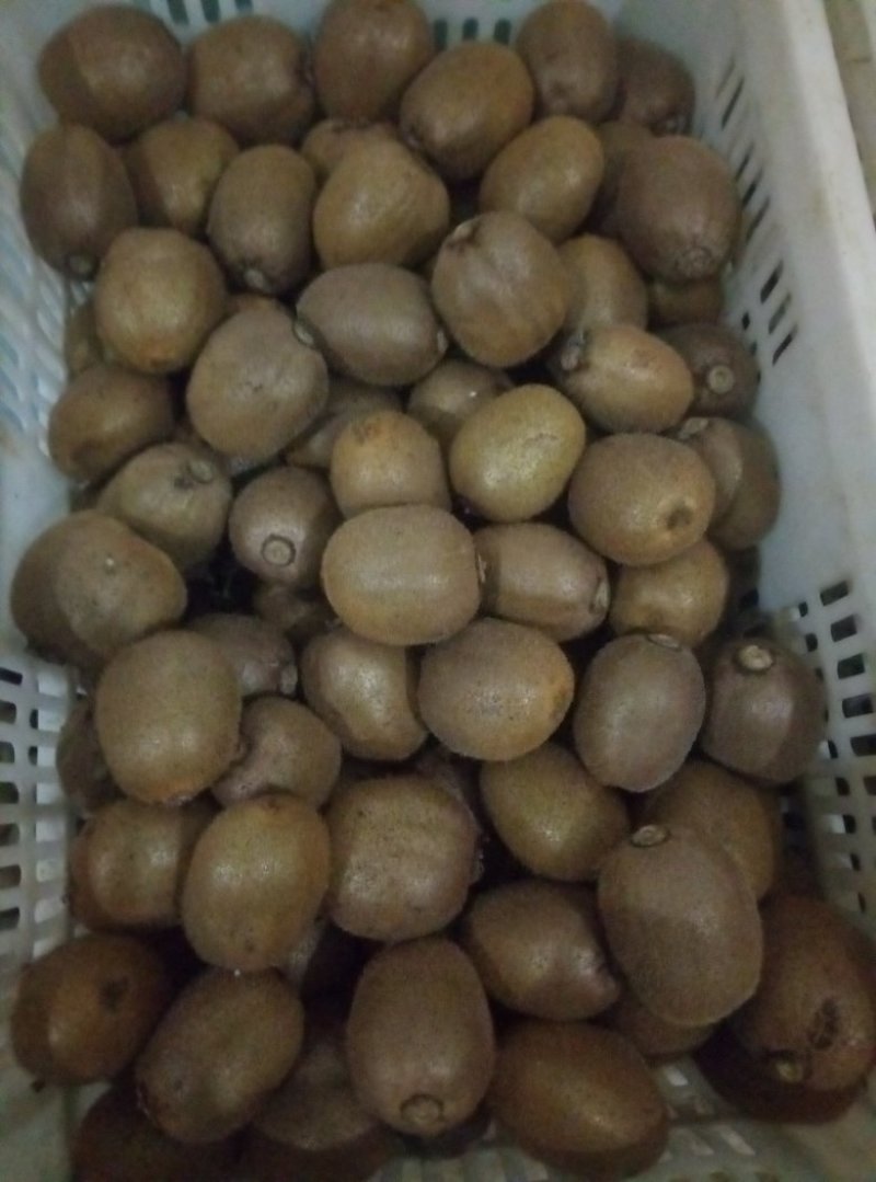 徐香猕猴桃