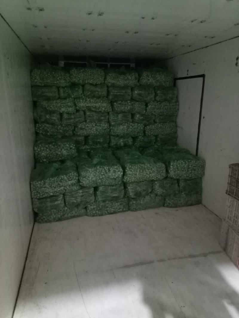 长期供应，上海青，精品小油菜，保质保量。真诚合作