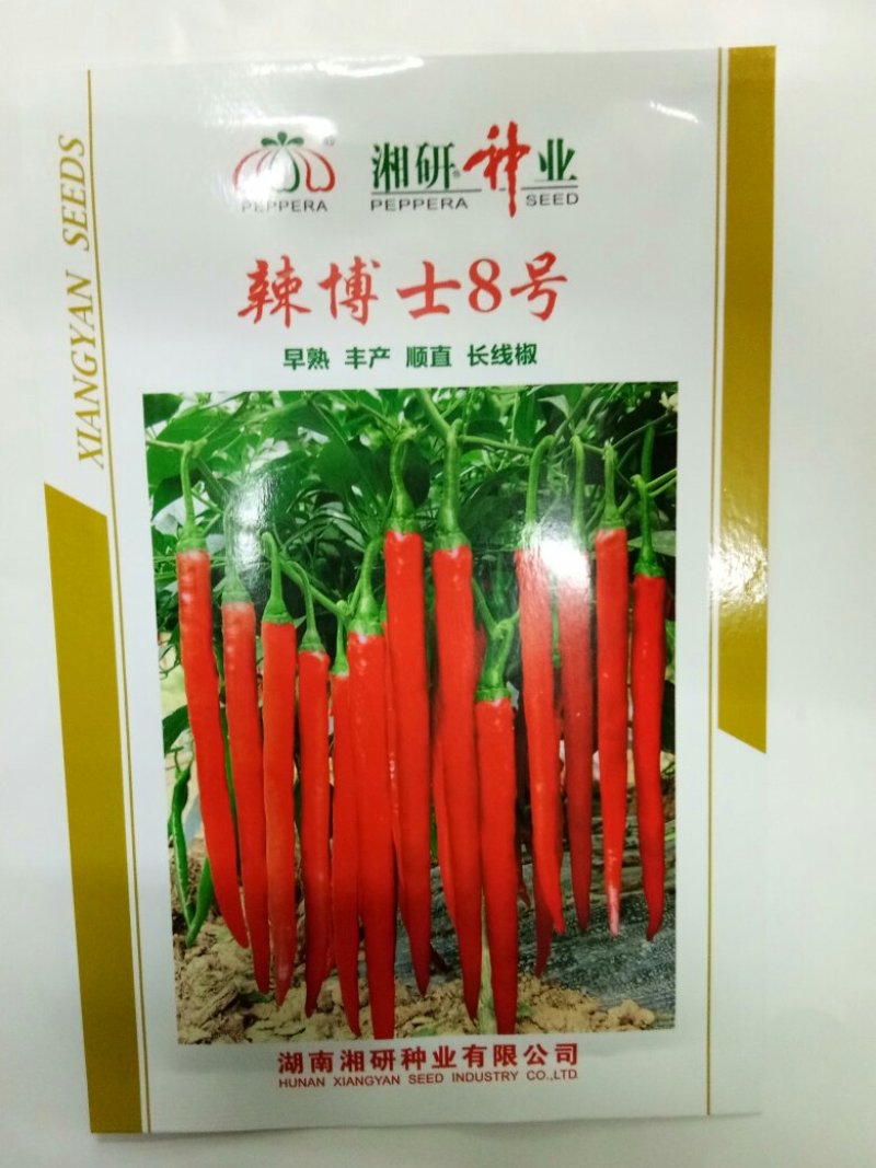 辣椒种子薄皮线椒种子（辣博士8号）