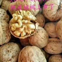 汾阳纸皮核桃批发