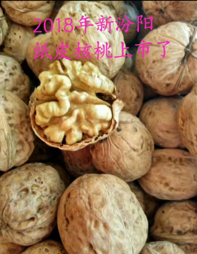 汾阳纸皮核桃批发