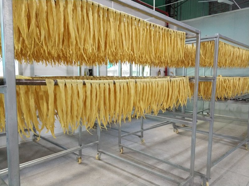 腐竹一斤12一级品
