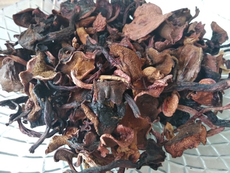 贵州纯野生菌