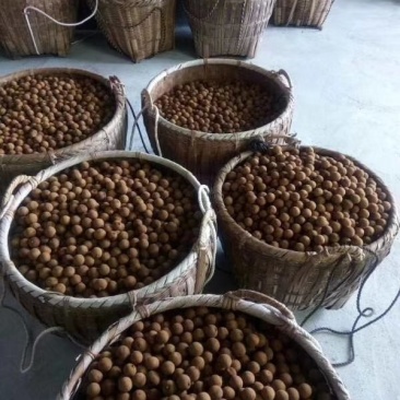 桂圆干