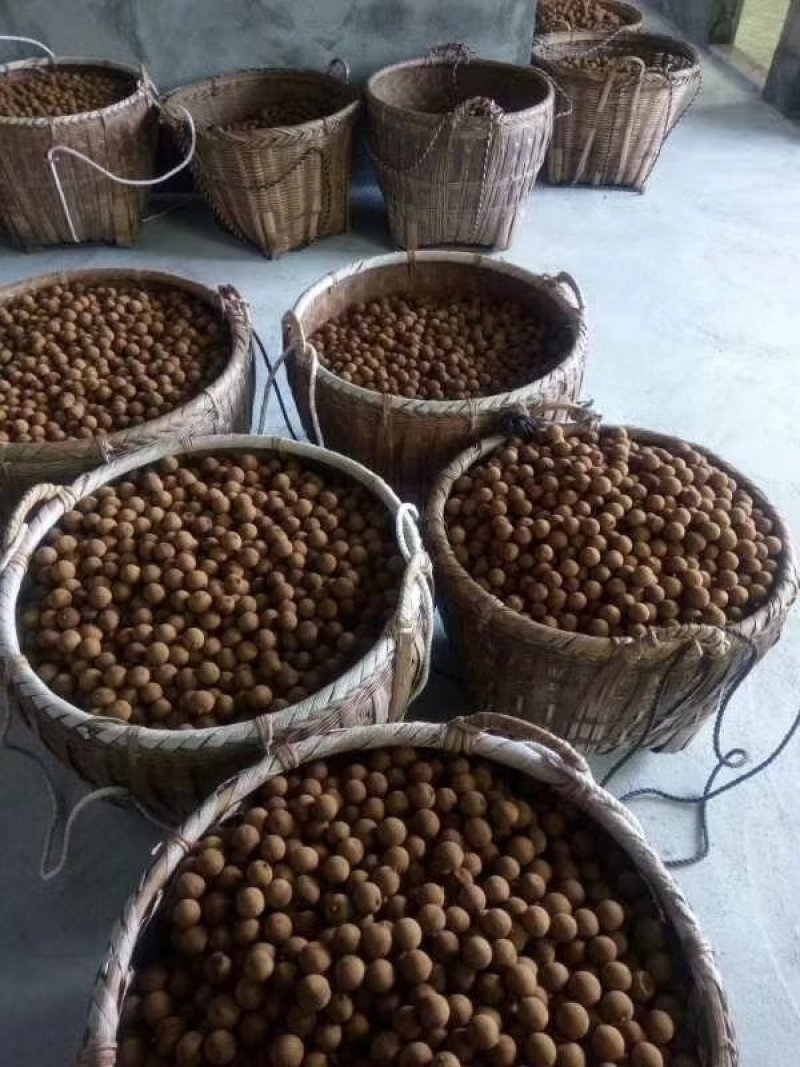 桂圆干