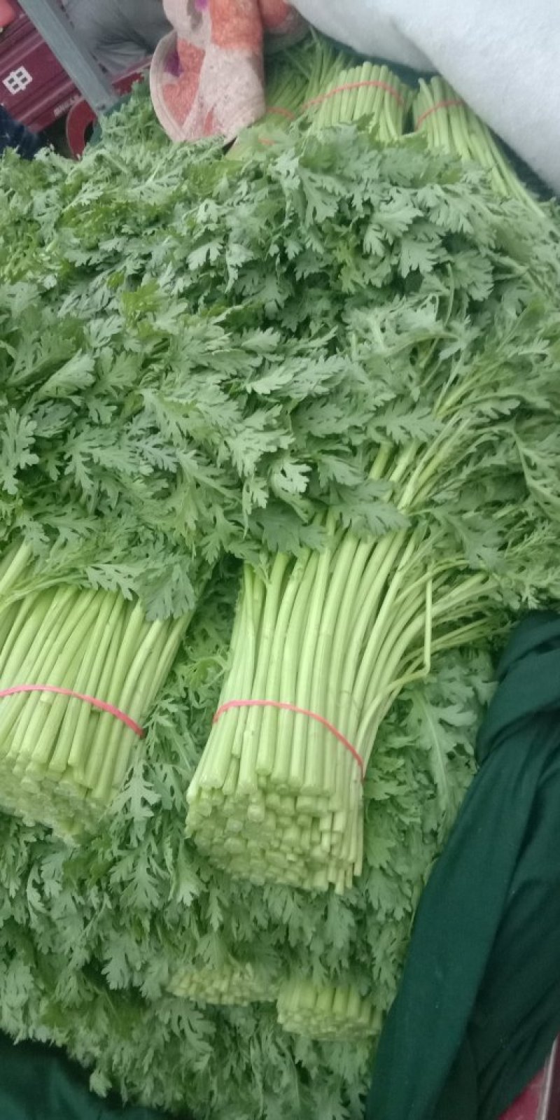 茼蒿