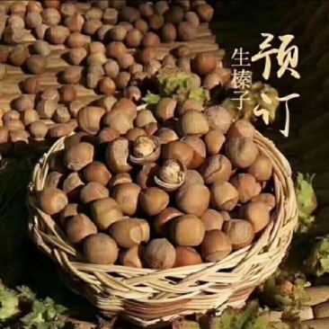 李慧