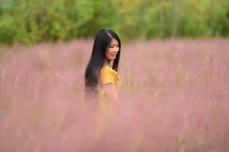 粉黛乱子草花苗，山东潍坊青州粉黛乱子草花苗基地批发，花海