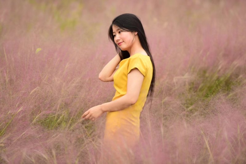 粉黛乱子草花苗，山东潍坊青州粉黛乱子草花苗基地批发，花海