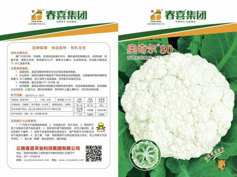 春喜种业