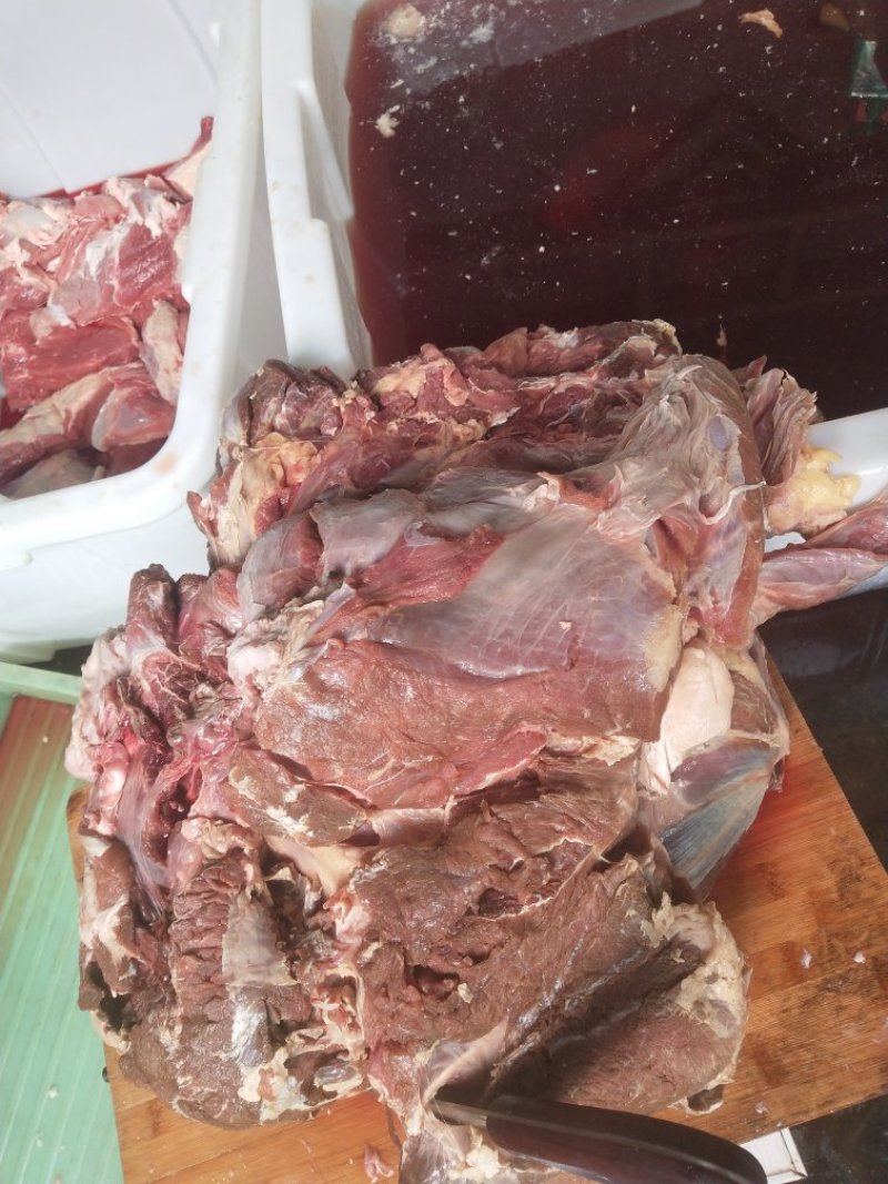 冷鲜牛腱子，牛后腿肉，半熟牛肚，冷鲜驴肉。
