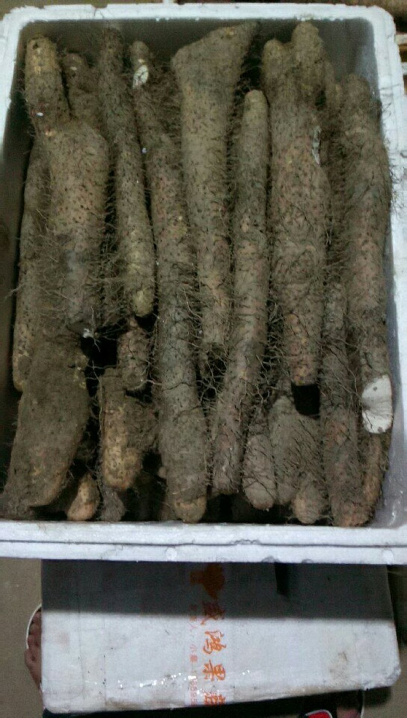 长年供应各类山药，去皮山药