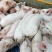 本场专业人员封闭管理饲养三元仔猪1000头，防疫到位！