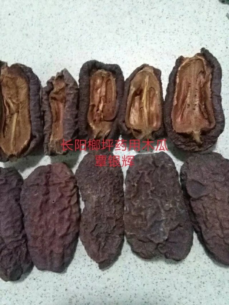 【木瓜苗】湖北木瓜苗无籽皱皮木瓜树苗产地直发欢迎咨询
