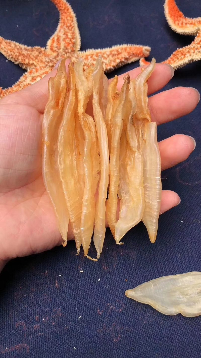 120头玻璃双背黄花胶