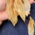 120头玻璃双背黄花胶