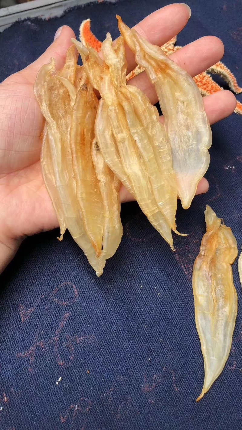 120头玻璃双背黄花胶