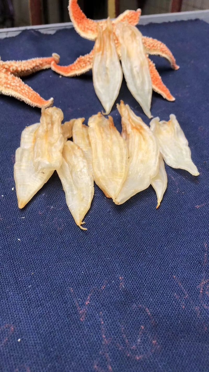 120头玻璃双背黄花胶
