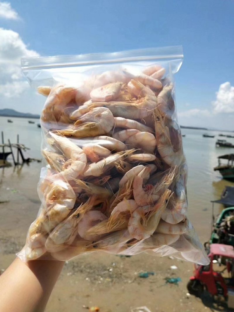 麻虾干生晒虾仁