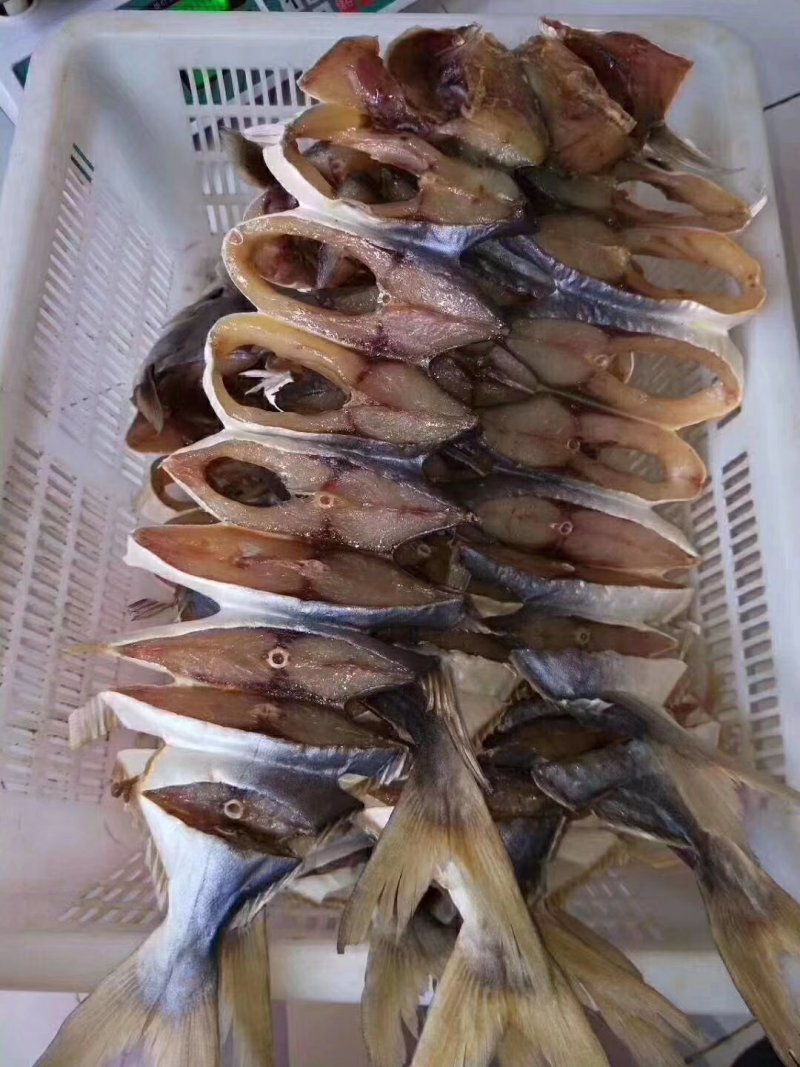 金昌鱼