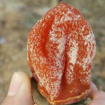 农家富平柿饼，欢迎各大客商订购，