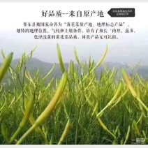 黄花菜