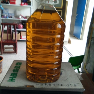 大别山区野生山茶籽油