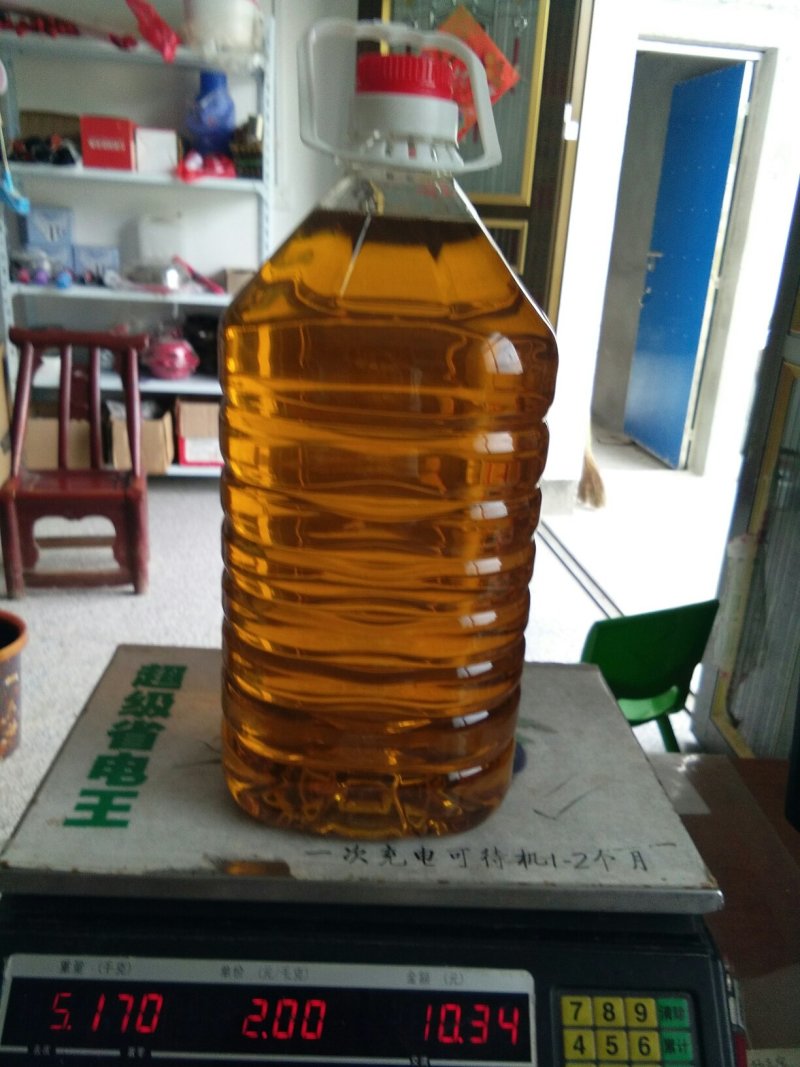 大别山区野生山茶籽油