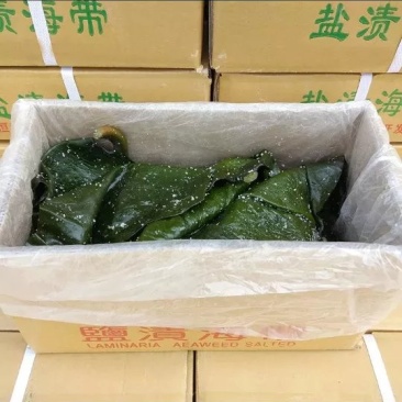 农户直供盐制海带头5斤装包邮