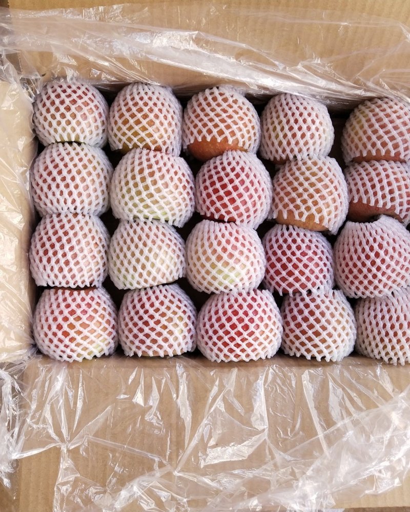 秦冠苹果