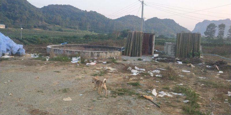 四百亩紫密龙果园转让