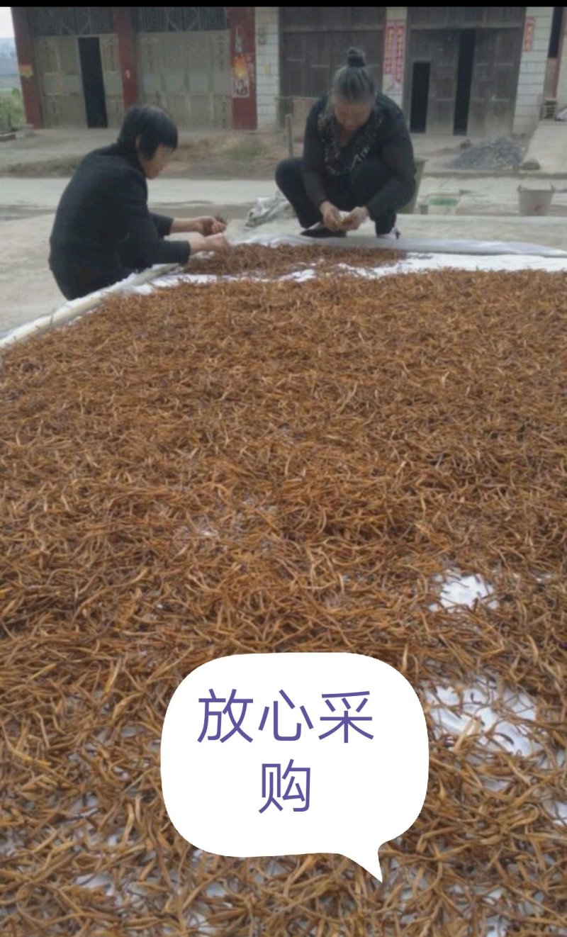 黄花菜