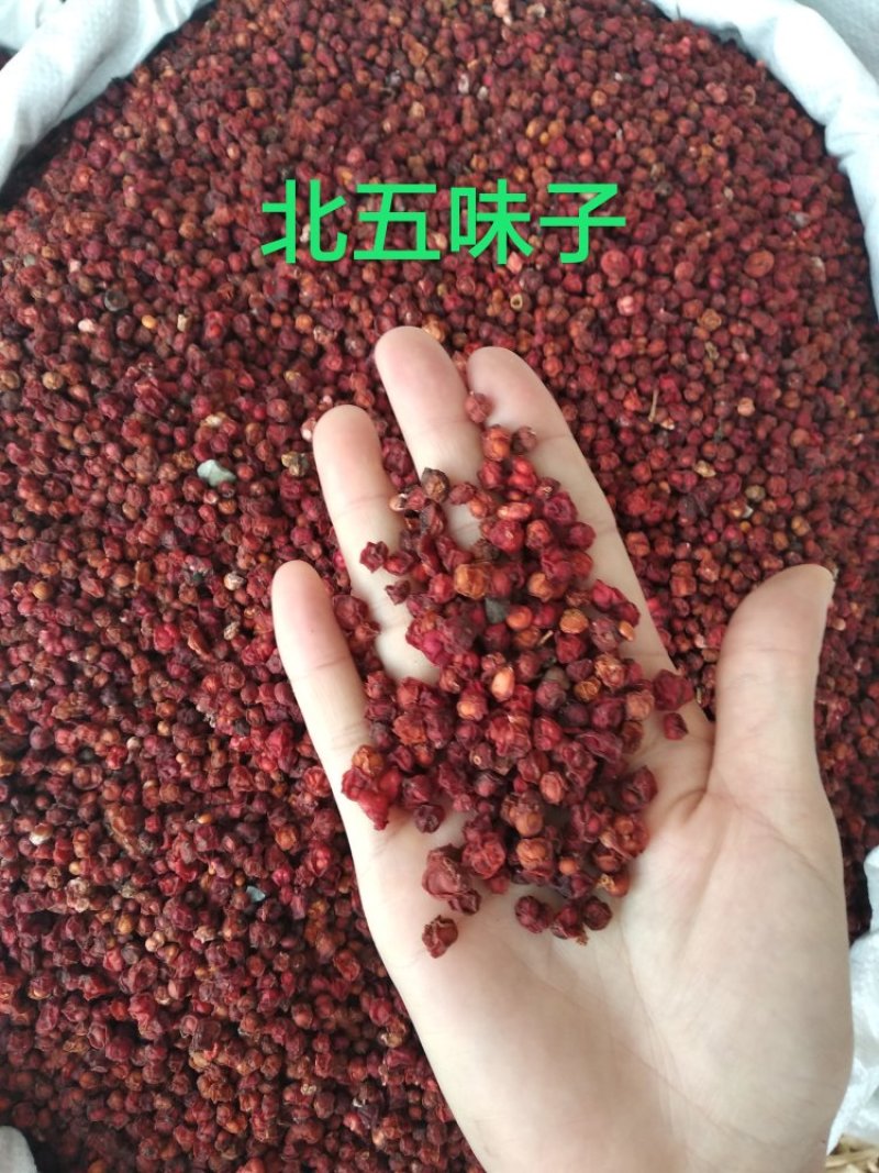 五味子精选
