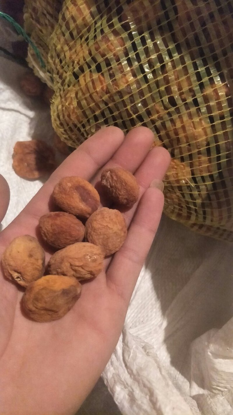 吊干杏，树上干杏，新疆伊犁特产
