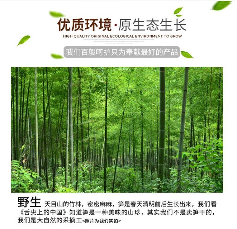 无盐淡笋干天目山笋干特产一件代发