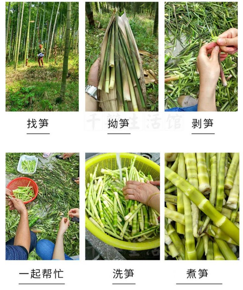无盐淡笋干天目山笋干特产一件代发