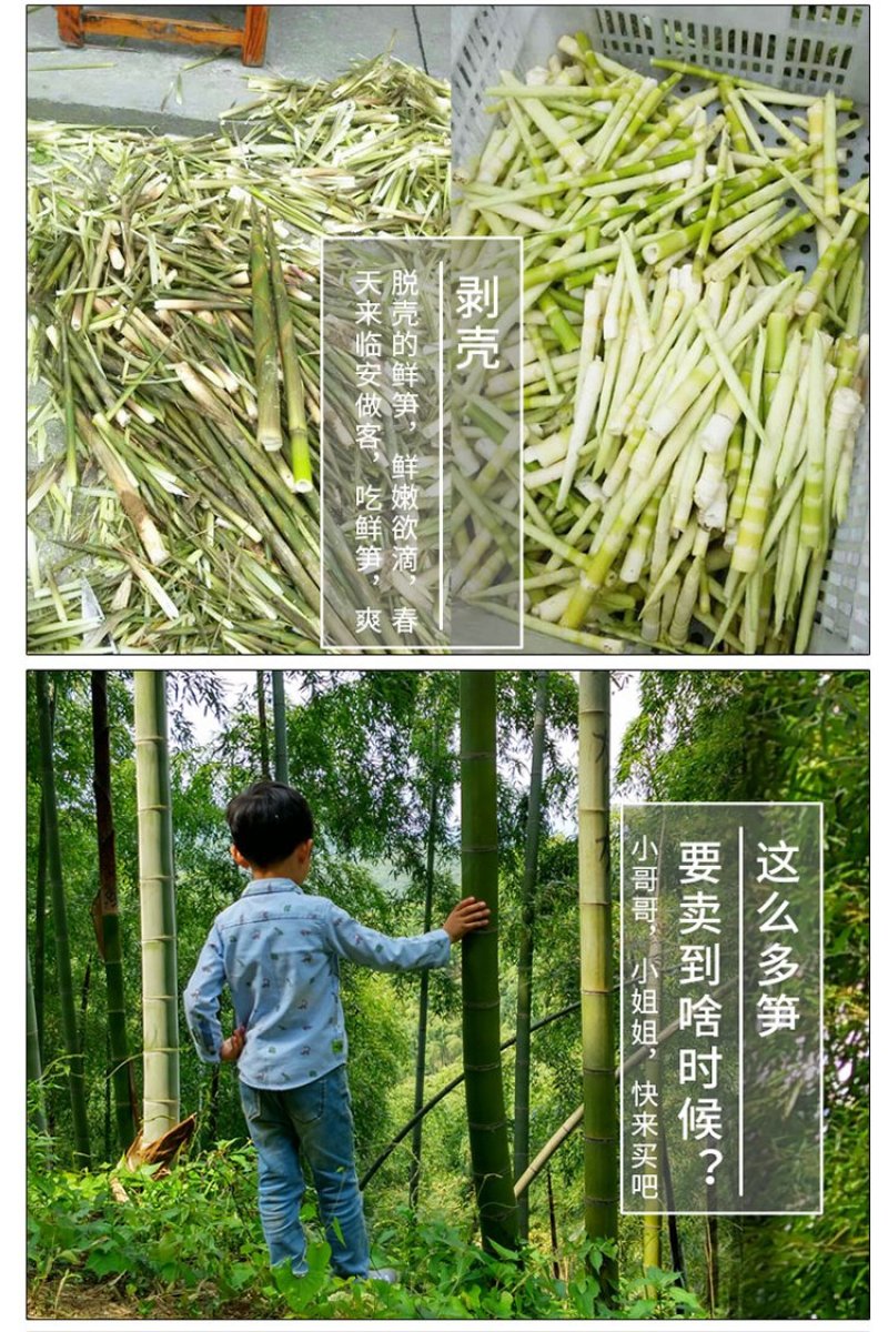 无盐淡笋干天目山笋干特产一件代发