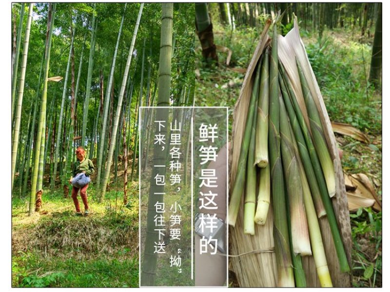 无盐淡笋干天目山笋干特产一件代发