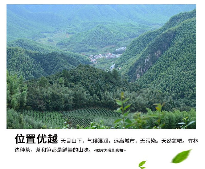 无盐淡笋干天目山笋干特产一件代发