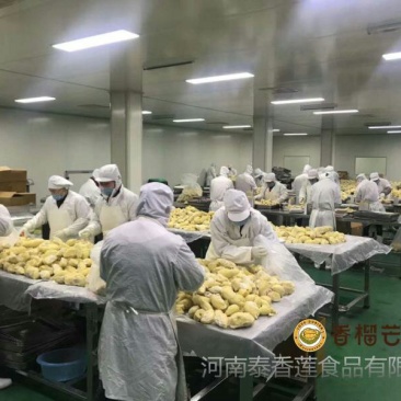 泰国树熟冷冻金枕头榴莲肉,带核榴莲肉，烘培原料