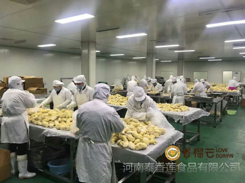 泰国树熟冷冻金枕头榴莲肉,带核榴莲肉，烘培原料