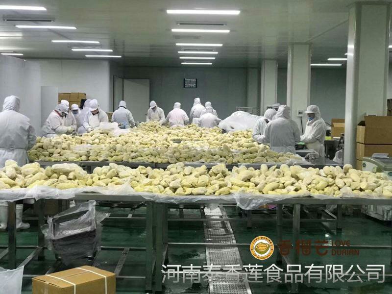 泰国树熟冷冻金枕头榴莲肉,带核榴莲肉，烘培原料