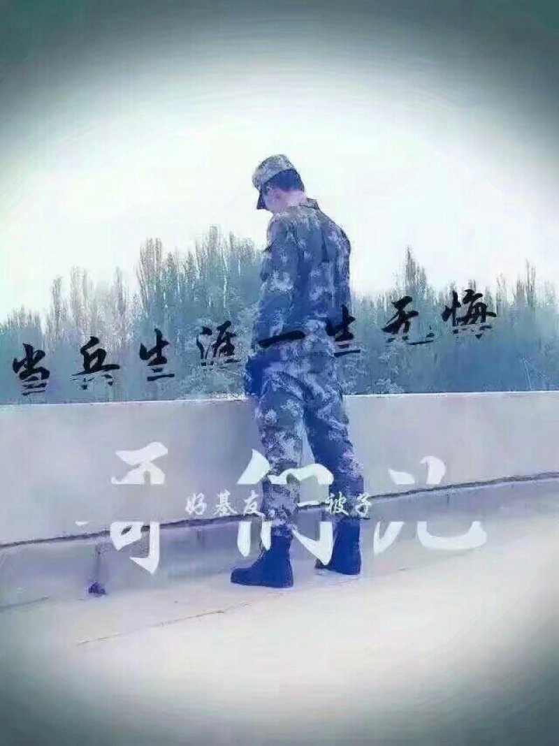 黄豆
