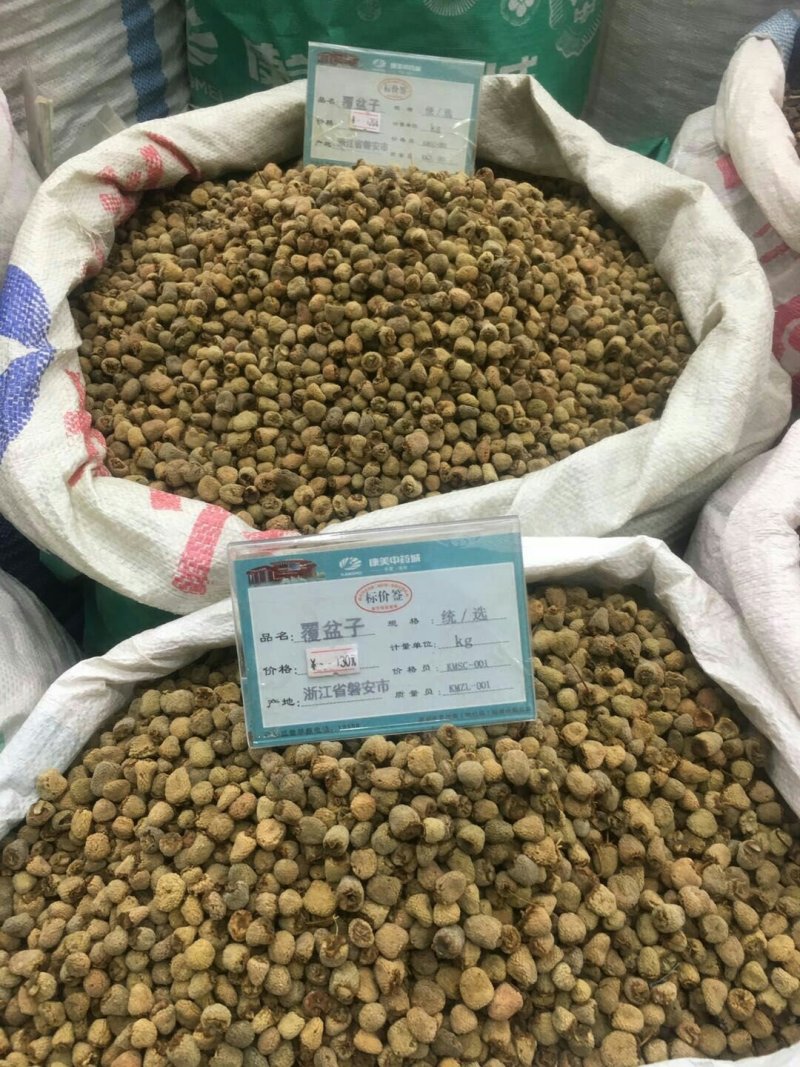 掌叶覆盆子