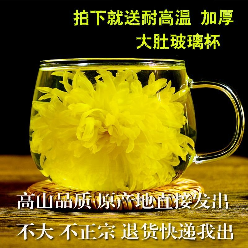 金丝皇菊大朵菊花茶一朵一杯厂家直发批发菊花茶