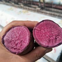 紫薯没有打农药